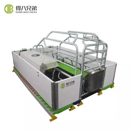 Enhancing Sow Well-being: Understanding the Impact of European-Style Farrowing Crates on Behavior and Stress Levels